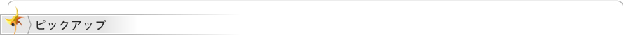 ピックアップ